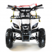 MOTAX ATV Mini Grizlik X-16