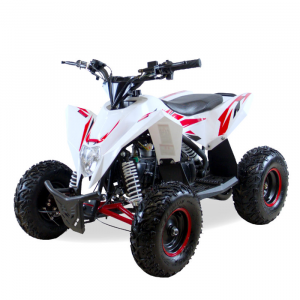 MOTAX GEKKON 70cc MOTAX GEKKON 70cc