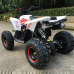 MOTAX GEKKON 70cc MOTAX GEKKON 70cc
